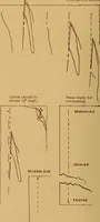 Picture 108 of 127 from A graded course in cord, raffia, lacer work and sewing for elementary schools (1913), leaf 243