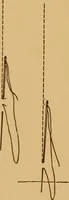 Picture 111 of 127 from A graded course in cord, raffia, lacer work and sewing for elementary schools (1913), leaf 253