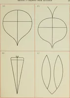 Picture 13 of 37 from Graded drawings for infants and junior classes (1900), leaf 57
