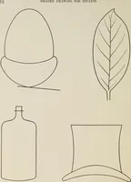 Picture 20 of 37 from Graded drawings for infants and junior classes (1900), leaf 74