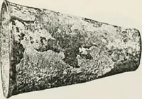 An illustration from Graeco-Egyptian glass (1905)