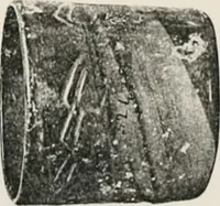 An illustration from Graeco-Egyptian glass (1905)