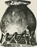 An illustration from Graeco-Egyptian glass (1905)