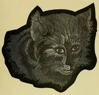 Picture 11 of 20 from Grammaire des arts de la soie (1912), leaf 105