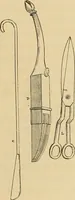 An illustration from Grammaire des arts décoratifs, décoration intérieure de la maison (1882)