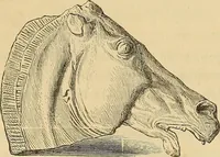 An illustration from Grammaire des arts décoratifs, décoration intérieure de la maison (1882)