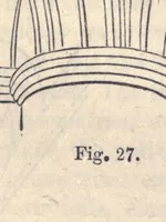 Picture 4 of 6 from A grammar of colouring, applied to decorative painting and parts (1888), leaf 225