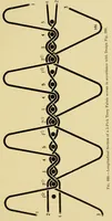 An illustration from Grammar of textile design (1906)