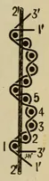 An illustration from Grammar of textile design (1919)