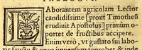 An illustration from Grammatica Maturini tractatus omnium ferè qu[a]e grammatices studiosis tradi sole[n]t (1559)