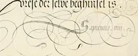 An illustration from Gram[m]ato-graphices : jn qvo varia scripturae emblemata, belgicis, germanicis, italicis, hispanicis, gallicis, et latinis characterib[us] exarata : cum singulorum anatomicis fundamentis ad exacté pingedum perquàm utilia, oculis spectanda jmitandaq[ue], proponuntur (1605)