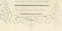An illustration from Gram[m]ato-graphices : jn qvo varia scripturae emblemata, belgicis, germanicis, italicis, hispanicis, gallicis, et latinis characterib[us] exarata : cum singulorum anatomicis fundamentis ad exacté pingedum perquàm utilia, oculis spectanda jmitandaq[ue], proponuntur (1605)