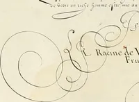 An illustration from Gram[m]ato-graphices : jn qvo varia scripturae emblemata, belgicis, germanicis, italicis, hispanicis, gallicis, et latinis characterib[us] exarata : cum singulorum anatomicis fundamentis ad exacté pingedum perquàm utilia, oculis spectanda jmitandaq[ue], proponuntur (1605)