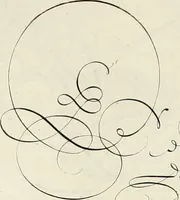 Picture 61 of 78 from Gram[m]ato-graphices : jn qvo varia scripturae emblemata, belgicis, germanicis, italicis, hispanicis, gallicis, et latinis characterib[us] exarata : cum singulorum anatomicis fundamentis ad exacté pingedum perquàm utilia, oculis spectanda jmitandaq[ue], proponuntur (1605), leaf 53