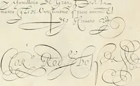 An illustration from Gram[m]ato-graphices : jn qvo varia scripturae emblemata, belgicis, germanicis, italicis, hispanicis, gallicis, et latinis characterib[us] exarata : cum singulorum anatomicis fundamentis ad exacté pingedum perquàm utilia, oculis spectanda jmitandaq[ue], proponuntur (1605)