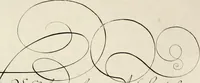 An illustration from Gram[m]ato-graphices : jn qvo varia scripturae emblemata, belgicis, germanicis, italicis, hispanicis, gallicis, et latinis characterib[us] exarata : cum singulorum anatomicis fundamentis ad exacté pingedum perquàm utilia, oculis spectanda jmitandaq[ue], proponuntur (1605)