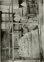 Picture 63 of 527 from Granada and the Alhambra, a brief description of the ancient city of Granada, with a particular account of the Moorish palace (1907), leaf 189