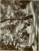 An illustration from Granada and the Alhambra, a brief description of the ancient city of Granada, with a particular account of the Moorish palace (1907)