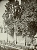 Picture 414 of 527 from Granada and the Alhambra, a brief description of the ancient city of Granada, with a particular account of the Moorish palace (1907), leaf 479