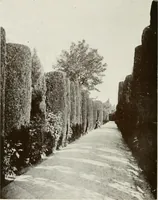 Picture 418 of 527 from Granada and the Alhambra, a brief description of the ancient city of Granada, with a particular account of the Moorish palace (1907), leaf 484
