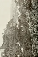 Picture 437 of 527 from Granada and the Alhambra, a brief description of the ancient city of Granada, with a particular account of the Moorish palace (1907), leaf 500