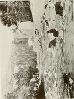 Picture 521 of 527 from Granada and the Alhambra, a brief description of the ancient city of Granada, with a particular account of the Moorish palace (1907), leaf 584