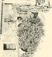 An illustration from Granada, present and bygone (1908)