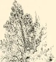 An illustration from Granada, present and bygone (1908)