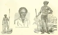Picture 1 of 14 from Grand illustrated encyclopedia of animated nature : embracing a full description of the different races of men, and of the characteristic habits and modes of life of the various beasts, birds, fishes, insects, reptiles, and microscopic animalcula of the globe : being a complete history of the animal kingdom (1855), leaf 33