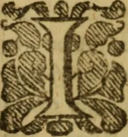 An illustration from The grand triall of true conversion, or, Sanctifying grace appearing and acting first and chiefly in the thoughts .. (1655)