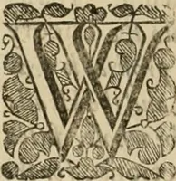 An illustration from Graphice, the use of the pen and pensil, or, The most excellent art of painting : in two parts (1658)