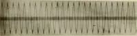 Picture 14 of 15 from A graphic study of sounds waves emitted by singing tubes (1920), leaf 54