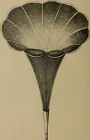 Picture 122 of 421 from [Graphophone patents] (1878), leaf 341