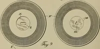 An illustration from [Graphophone patents] (1878)