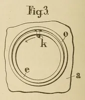 Picture 18 of 18 from [Graphophone patents] (1878), leaf 1034