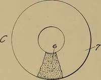 Picture 101 of 398 from [Graphophone patents] (1878), leaf 303