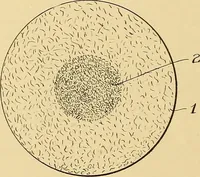 An illustration from [Graphophone patents] (1878)