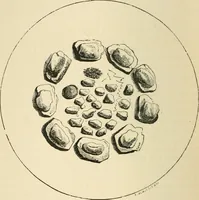 An illustration from Grave-mounds and their contents; a manual of archaeology, as exemplified in the burials of the Celtic, the Romano-British, and the Anglo-Saxon periods (1870)