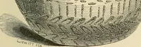 Picture 88 of 274 from Grave-mounds and their contents; a manual of archaeology, as exemplified in the burials of the Celtic, the Romano-British, and the Anglo-Saxon periods (1870), leaf 133