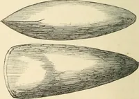An illustration from Grave-mounds and their contents; a manual of archaeology, as exemplified in the burials of the Celtic, the Romano-British, and the Anglo-Saxon periods (1870)