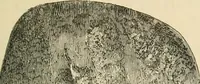 Picture 101 of 274 from Grave-mounds and their contents; a manual of archaeology, as exemplified in the burials of the Celtic, the Romano-British, and the Anglo-Saxon periods (1870), leaf 141