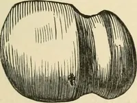 An illustration from Grave-mounds and their contents; a manual of archaeology, as exemplified in the burials of the Celtic, the Romano-British, and the Anglo-Saxon periods (1870)