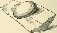 An illustration from Grave-mounds and their contents; a manual of archaeology, as exemplified in the burials of the Celtic, the Romano-British, and the Anglo-Saxon periods (1870)