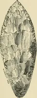 An illustration from Grave-mounds and their contents; a manual of archaeology, as exemplified in the burials of the Celtic, the Romano-British, and the Anglo-Saxon periods (1870)