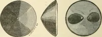 An illustration from Grave-mounds and their contents; a manual of archaeology, as exemplified in the burials of the Celtic, the Romano-British, and the Anglo-Saxon periods (1870)