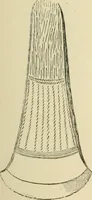 An illustration from Grave-mounds and their contents; a manual of archaeology, as exemplified in the burials of the Celtic, the Romano-British, and the Anglo-Saxon periods (1870)