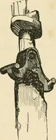An illustration from Grave-mounds and their contents; a manual of archaeology, as exemplified in the burials of the Celtic, the Romano-British, and the Anglo-Saxon periods (1870)
