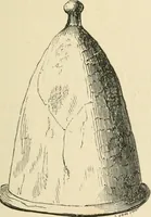An illustration from Grave-mounds and their contents; a manual of archaeology, as exemplified in the burials of the Celtic, the Romano-British, and the Anglo-Saxon periods (1870)