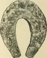 Picture 239 of 274 from Grave-mounds and their contents; a manual of archaeology, as exemplified in the burials of the Celtic, the Romano-British, and the Anglo-Saxon periods (1870), leaf 294