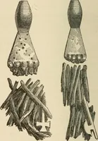 An illustration from Grave-mounds and their contents; a manual of archaeology, as exemplified in the burials of the Celtic, the Romano-British, and the Anglo-Saxon periods (1870)